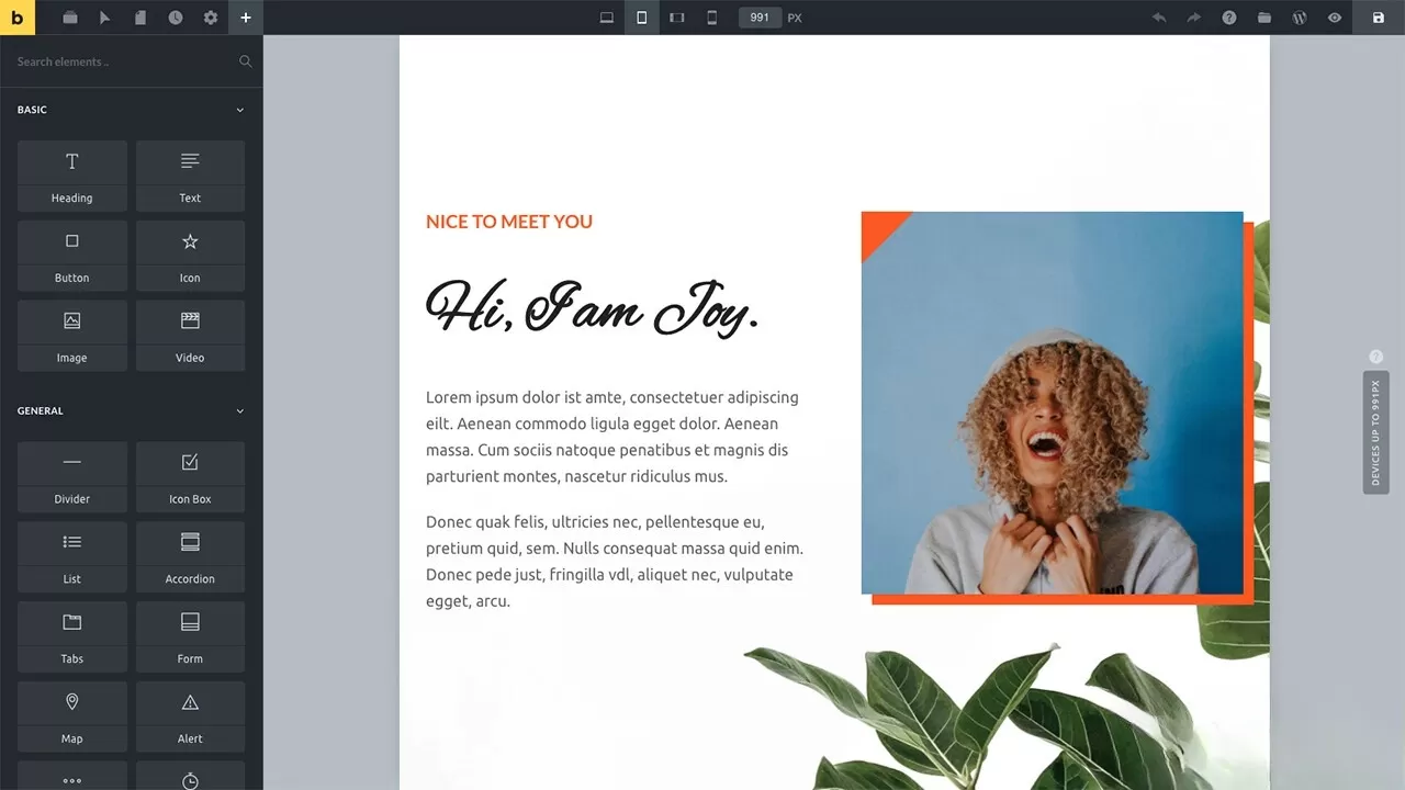 WordPress主题Bricks v1.9 破解版