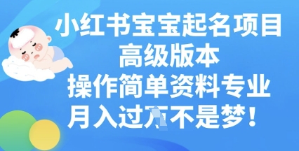 小红书宝宝起名项目高级版本，操作简单，资料专业，月入过W-鹊桥梦网创