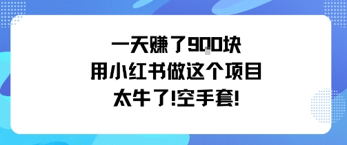 一天挣了9张用小红书做这个项目太牛了，空手套-鹊桥梦网创