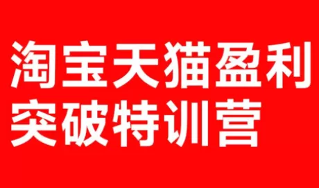 玺承·淘宝天猫盈利突破特训营(25年12月线下课)【音频+字幕】-鹊桥梦网创
