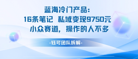 蓝海项目:16条笔记私域变现9750米小众赛道操作的人不多-鹊桥梦网创