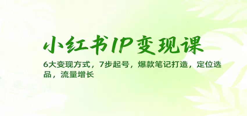小红书IP变现课：6大变现方式，7步起号，爆款笔记打造，定位选品，流量增长-鹊桥梦网创