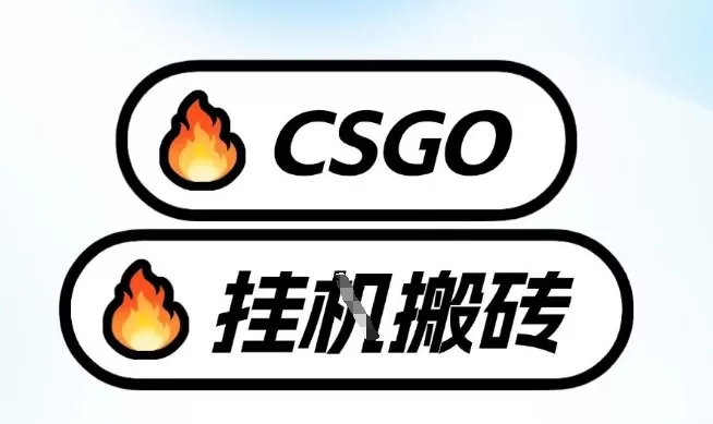 真全网独家CSGO挂G，最新玩法,单日捡漏1K+，不用电脑，不用打游戏【揭秘】-鹊桥梦网创