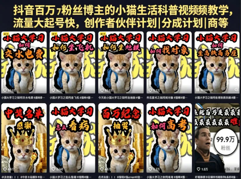 抖音百万粉丝博主的小猫生活科普视频教学,流量大起号快,创作者伙伴计划|分成计划|商单|收徒等-鹊桥梦网创