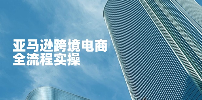 （14252期）亚马逊跨境电商全流程实操，教你从零开始，掌握店铺运营与广告技巧-鹊桥梦网创