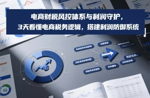 电商财税风控体系与利润守护，3天看懂电商税务逻辑，搭建利润防御系统-鹊桥梦网创