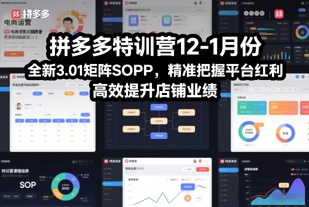 拼多多特训营12-1月份,全新3.01矩阵Sop,精准把握平台红利,高效提升店铺业绩