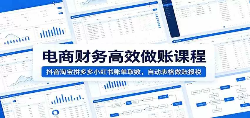 电商财务高效做账课程:抖音淘宝拼多多小红书账单取数,自动表格做账报税 电商财务高效做账课程:抖音淘宝拼多多小红书账单取数,自动表格做账报税