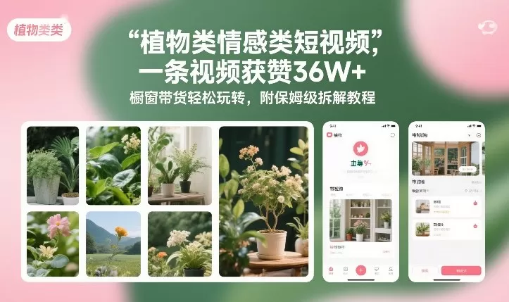 植物类情感类短视频，一条视频获赞36W+，橱窗带货轻松玩转，附保姆级拆解教程-鹊桥梦网创