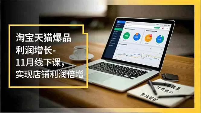 （16824期）淘宝天猫爆品利润增长-11月线下课，免费流量、付费放大、费比管控，实现店铺利润倍增