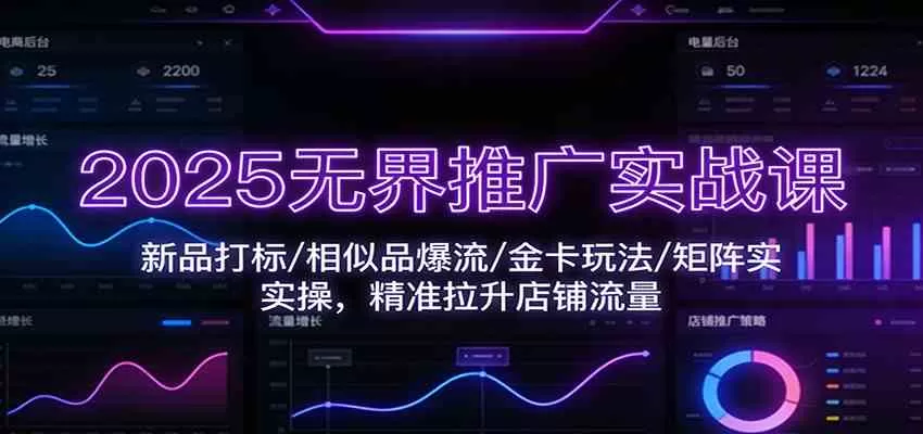 2025无界推广实战课：新品打标/相似品爆流/金卡玩法/矩阵实操，精准拉升店铺流量-鹊桥梦网创