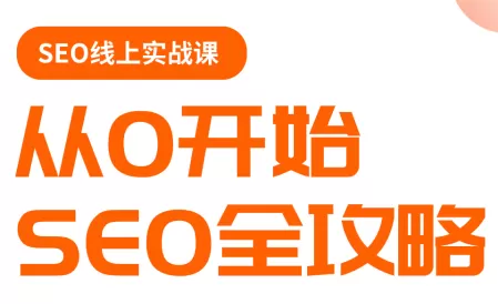 若凡老师·谷歌SEO实操课(更新)-鹊桥梦网创