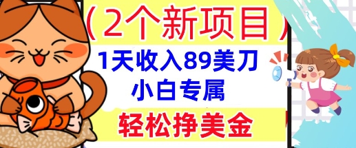 2个新项目，轻松挣美金， 1天收入89美刀，小白专属，干货分享-鹊桥梦网创