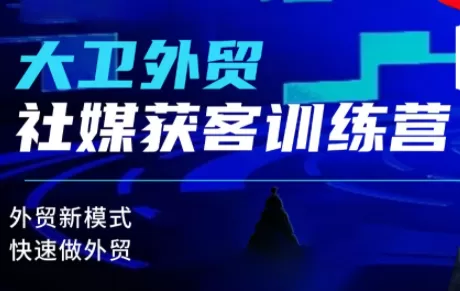 大卫老师·外贸社媒获客独家训练营(更新)-鹊桥梦网创