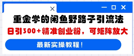 重金学的闲鱼野路子引流法，日引300+精准创业粉，可矩阵放大-鹊桥梦网创