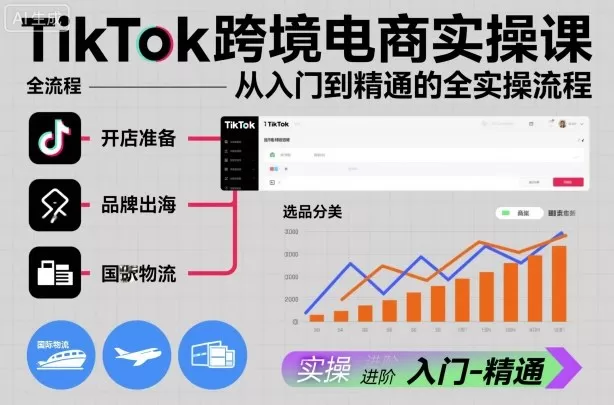 TikTok跨境电商实操课，从入门到精通的全实操流程-鹊桥梦网创