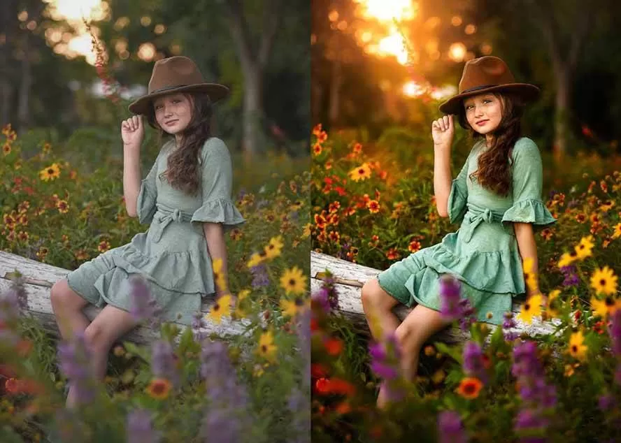 （17403期）大师级GTG出品-老友记系列AI自适应预设The Friends Preset Collection