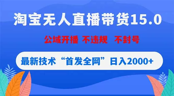淘宝无人直播带货15.0，不封号，不违规，公域玩法，首发全网日入2000+-鹊桥梦网创