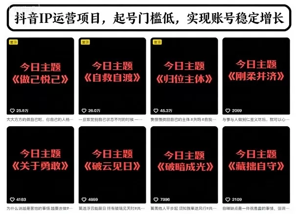 抖音IP运营项目,抖音今日主题玩法,起号门槛低,实现账号稳定增长 抖音IP运营项目,抖音今日主题玩法,起号门槛低,实现账号稳定增长