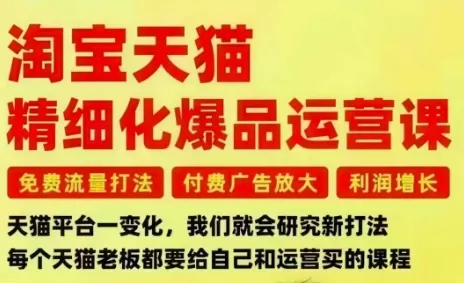 淘宝天猫精细化爆品运营课,免费流量打法-付费广告放大-利润增长-三大核心痛点,一次全部解决 淘宝天猫精细化爆品运营课,免费流量打法-付费广告放大-利润增长-三大核心痛点,一次全部解决