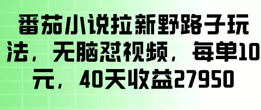 番茄小说拉新野路子玩法,无脑怼视频,玩法简单、见效快,每单10米,40天收益27950-鹊桥梦网创
