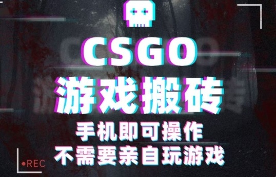 CSGO游戏挂G捡漏，单日扫货5张+，年底小高峰上车可吃肉，手机即可操作，兼职副业创业网创【揭秘】-鹊桥梦网创