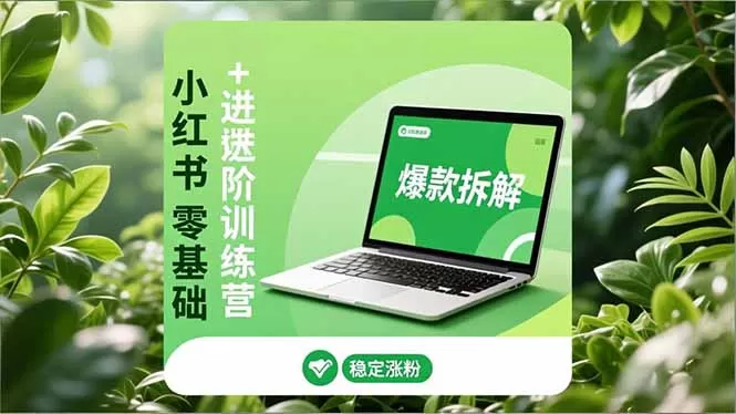 小红书零基础+高阶训练营:安全养号、爆款拆解、长效运营,实现稳定涨粉与变现-鹊桥梦网创