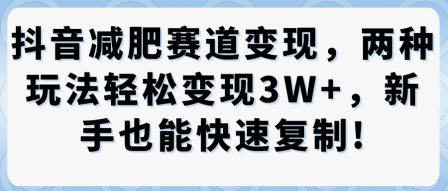 抖音减肥赛道变现，两种玩法轻松变现3W+，新手也能快速复制-鹊桥梦网创