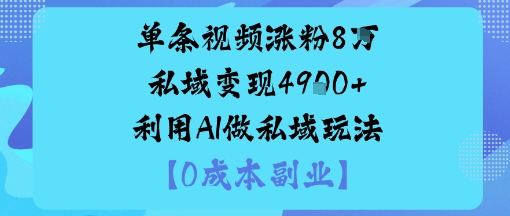 单条视频涨粉8W私域变现1k+利用AI做私域玩法