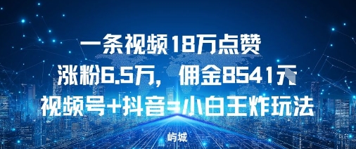 一条视频18W点赞涨粉6.5W,佣金8541视频号+抖音=小白王炸玩法-鹊桥梦网创