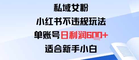 私域女粉：小红书平台不违规玩法单账号日利润6张+适合新手小白-鹊桥梦网创