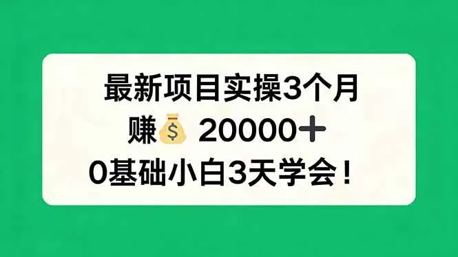 （17856期）最新项目实操3个月，赚钱20000+，0基础小白3天学会！-鹊桥梦网创