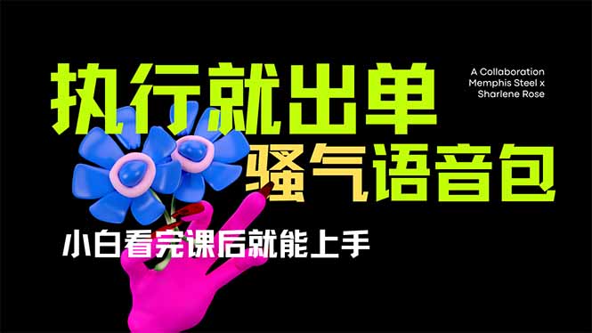 （14170期）爆火全网的开车导航骚气语音包,只要执行就出单，小白看完课程就能实操...-鹊桥梦网创