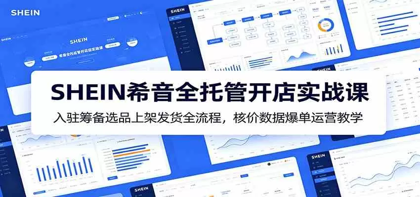 SHEIN希音全托管开店实战课:入驻筹备选品上架发货全流程,核价数据爆单运营教学-鹊桥梦网创