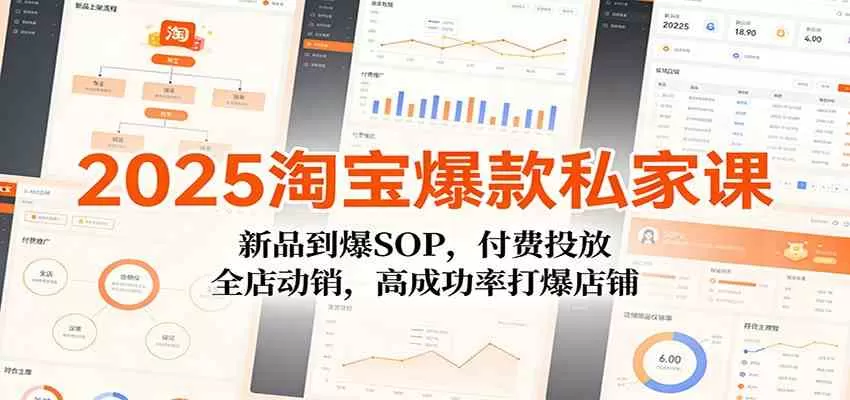 2025淘宝爆款私家课：新品到爆SOP，付费投放，全店动销，高成功率打爆店铺-鹊桥梦网创