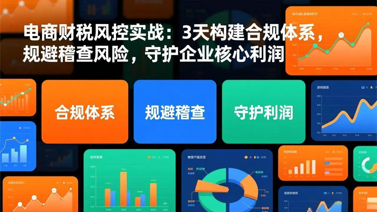 （17197期）电商财税风控实战：3天构建合规体系，规避稽查风险，守护企业核心利润-鹊桥梦网创