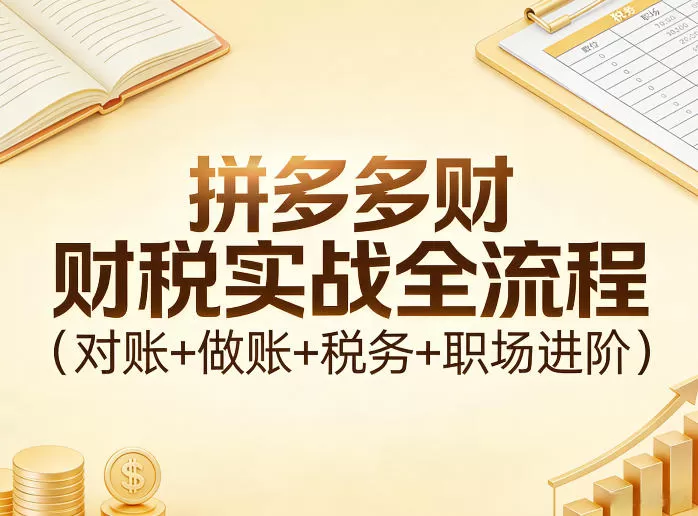 拼多多财税实战全流程(对账+做账+税务+职场进阶)-鹊桥梦网创