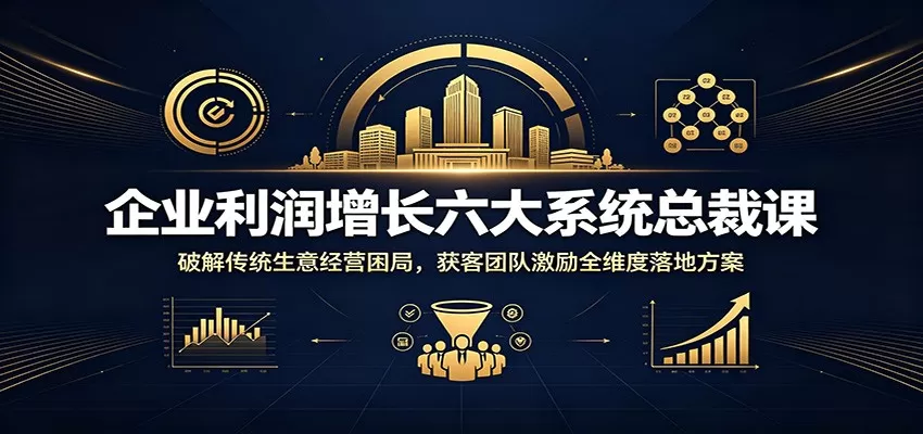 企业利润增长六大系统总裁课:破解传统生意经营困局,获客团队激励全维度落地方案-鹊桥梦网创