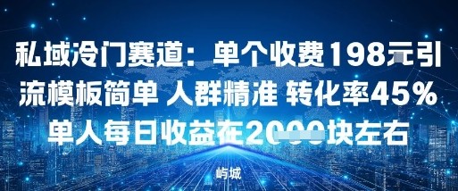 私域冷门赛道：单个收费198米引流模板简单人群精准转化率45%单人每日收益在1k+-鹊桥梦网创