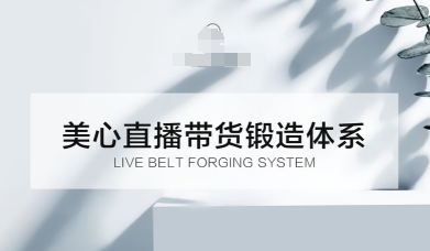 直播带货锻造体系课，5G时代美心一站式帮你开启直播带货之路【音频】-鹊桥梦网创