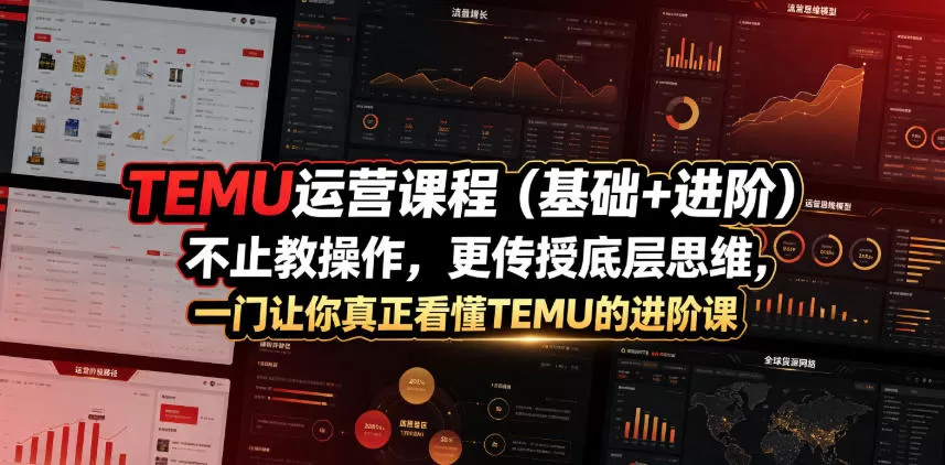 TEMU运营课程（基础+进阶），不止教操作，更传授底层思维，一门让你真正看懂TEMU的进阶课-鹊桥梦网创