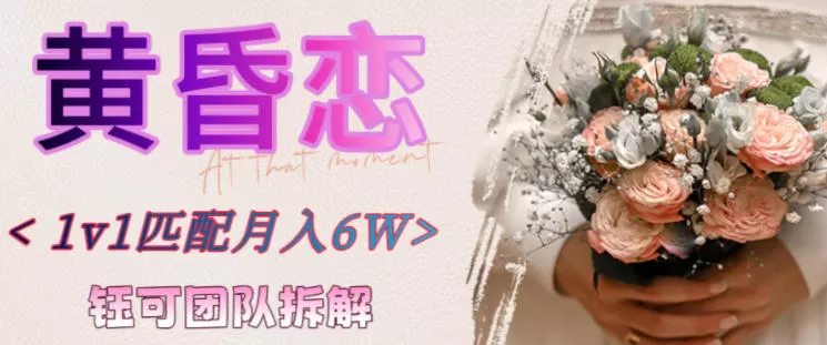 副业拆解：黄昏恋1对1匹配月入6个，潜力巨大-鹊桥梦网创