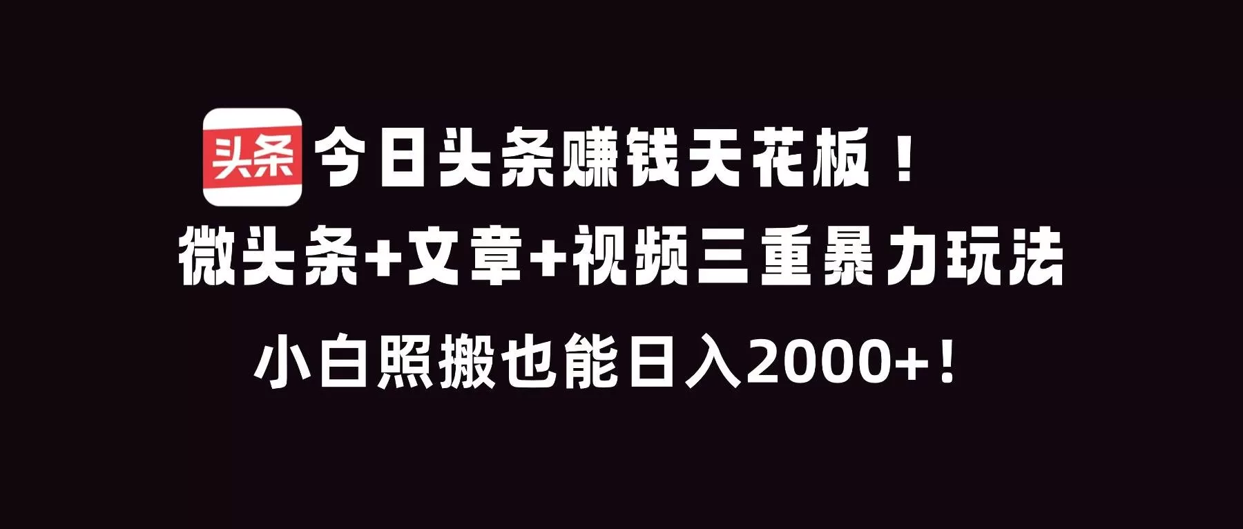 （16888期）今日头条赚钱天花板！微头条+文章+视频三重暴利玩法，小白照搬也能日人2000+