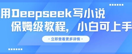 用Deepseek写小说，保姆级教程，小白可实操-鹊桥梦网创