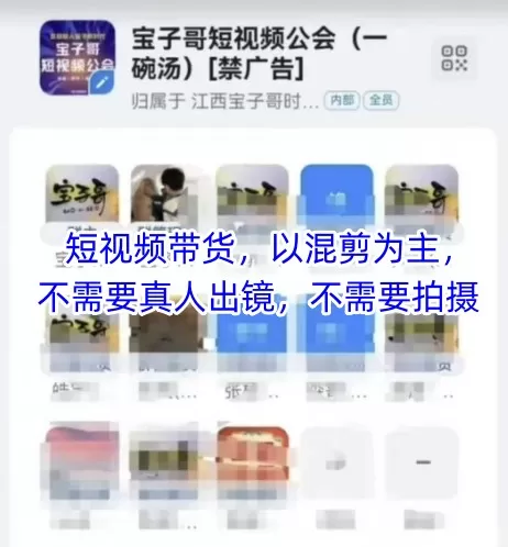 宝子哥头部团队短视频带货，以混剪为主，不需要真人出镜，不需要拍摄【更新26年1月】-鹊桥梦网创