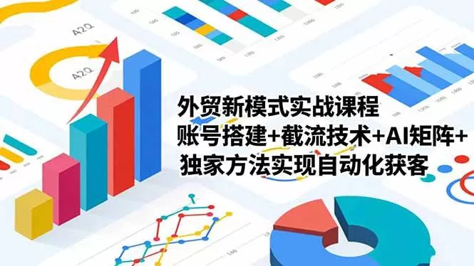 (16496期)外贸新模式实战课程,账号搭建+截流技术+AI矩阵+独家方法实现自动化获客-鹊桥梦网创