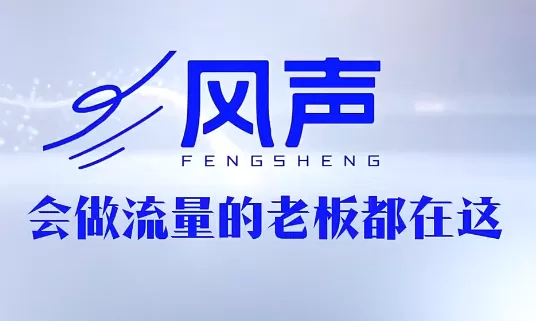 董十一·风声短视频AI获客年度会员-鹊桥梦网创