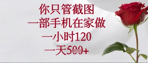 你只管截图，一部手机在家操作，一小时120.一天5张【揭秘】-鹊桥梦网创