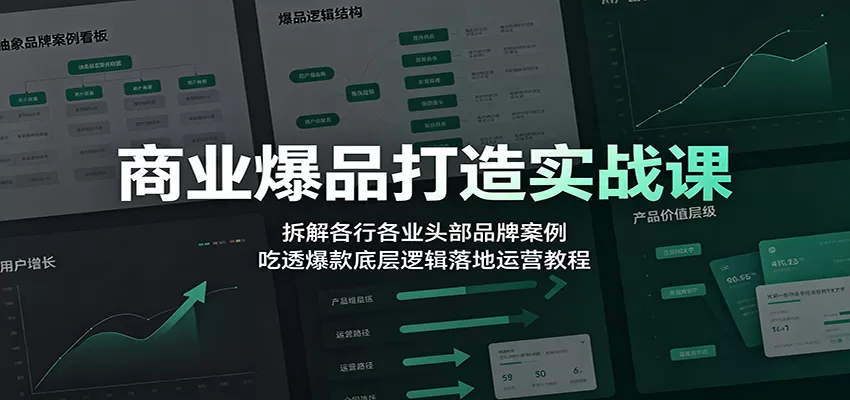 商业爆品打造实战课：拆解各行各业头部品牌案例，吃透爆款底层逻辑落地运营教程